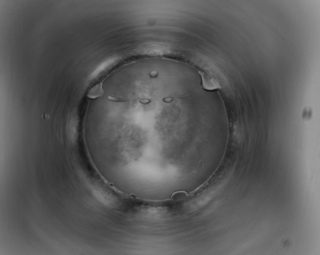 X0000101650304200807101237