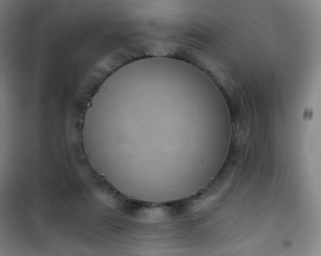 X0000101650307200807101237