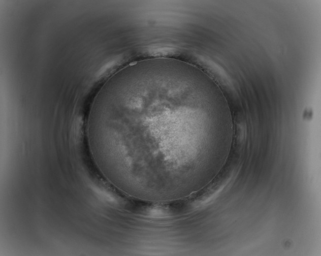 X0000101650308200807101237