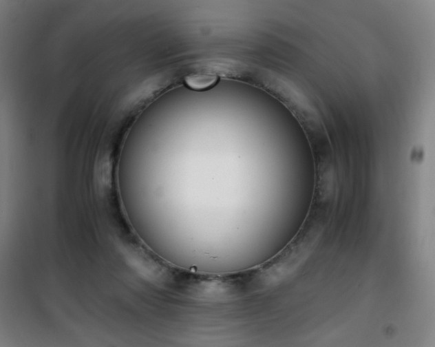 X0000101650310200807101237