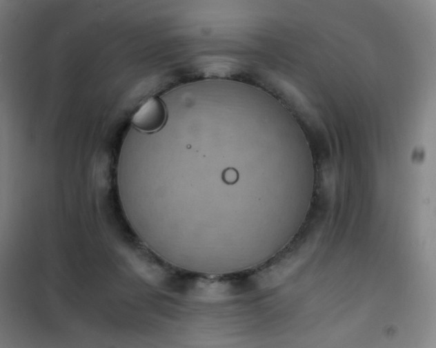 X0000101650311200807101237