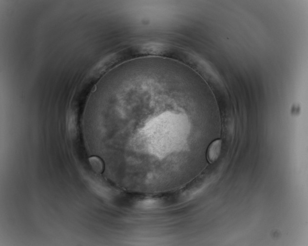 X0000101650312200807101237