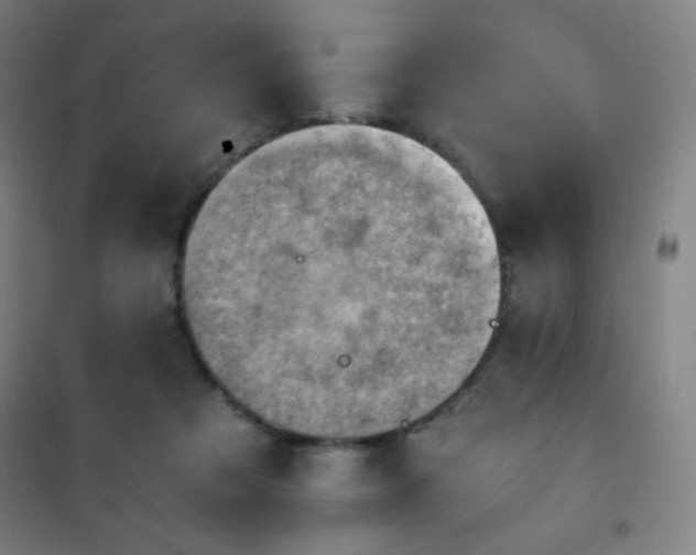 X0000101650313200807101237