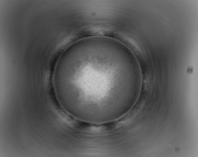 X0000101650314200807101237