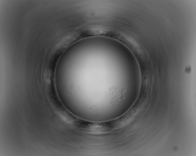 X0000101650315200807101237