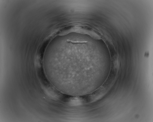 X0000101650316200807101237