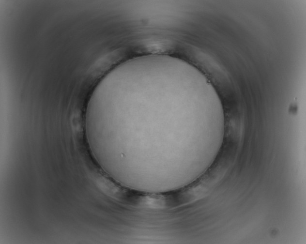 X0000101650317200807101237