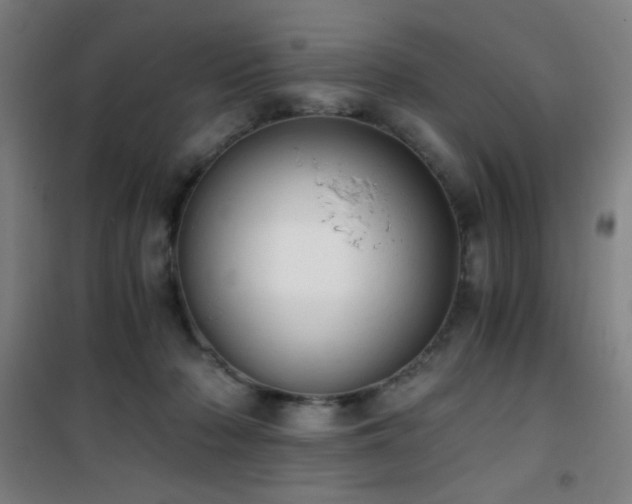 X0000101650318200807101237