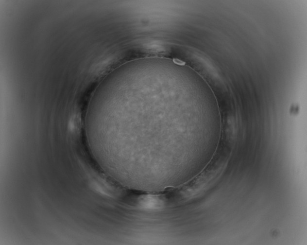 X0000101650320200807101237