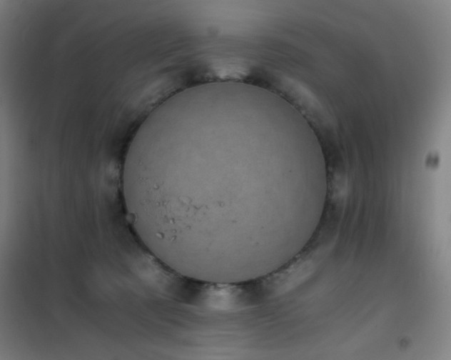 X0000101650321200807101237