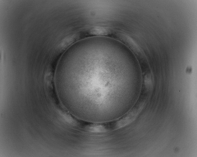 X0000101650322200807101237