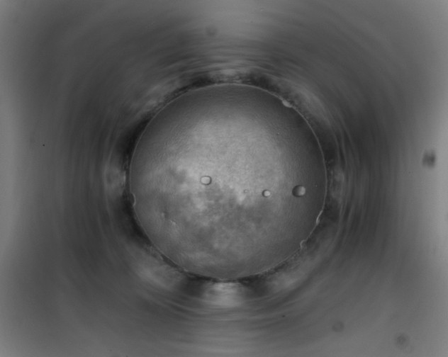 X0000101650324200807101237