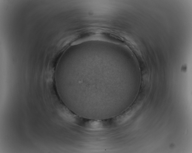 X0000101650325200807101237