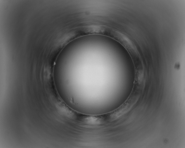 X0000101650326200807101237