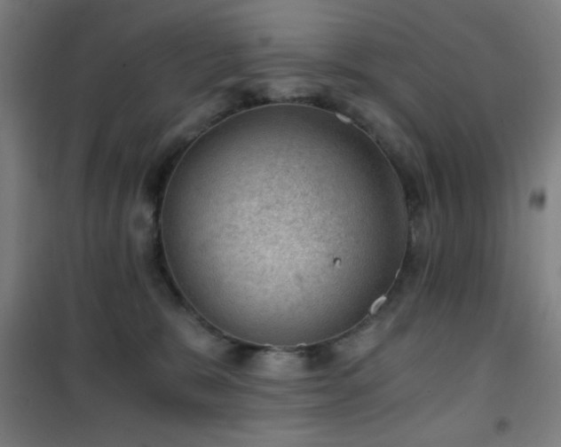 X0000101650327200807101237