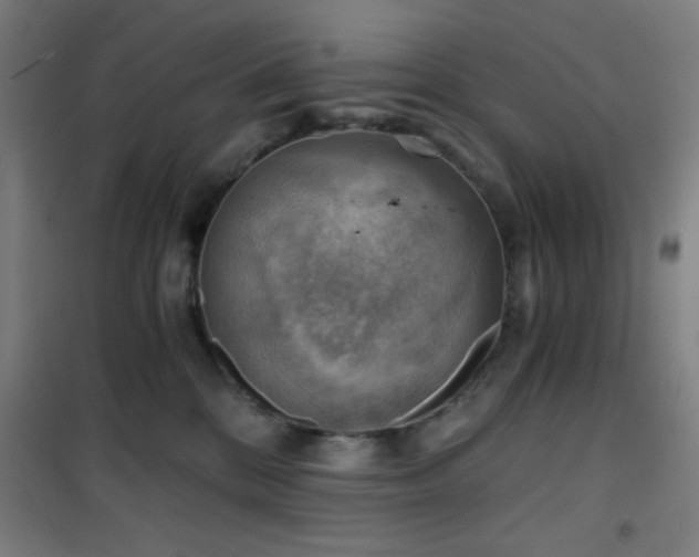 X0000101650328200807101237