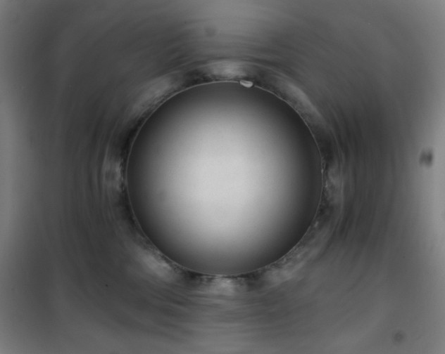 X0000101650330200807101237