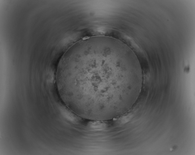 X0000101650331200807101237