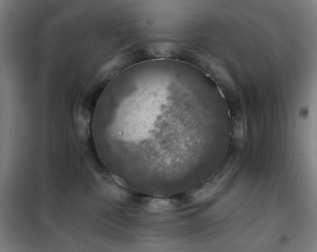 X0000101650332200807101237