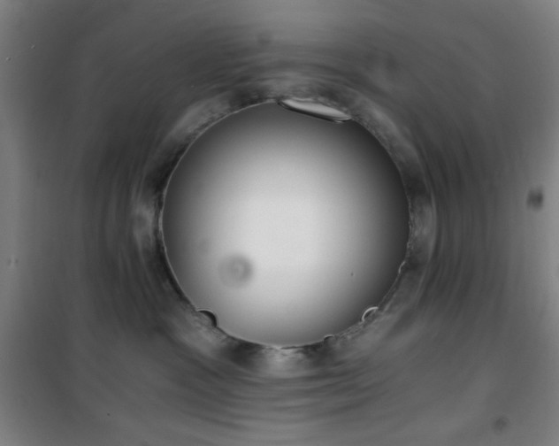 X0000101650333200807101237