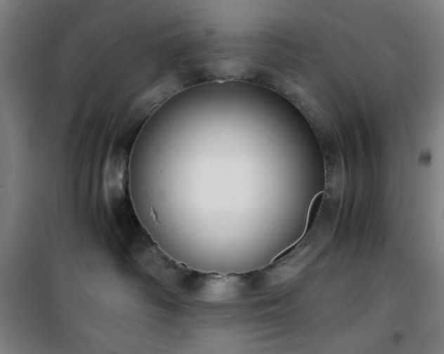 X0000101650334200807101237