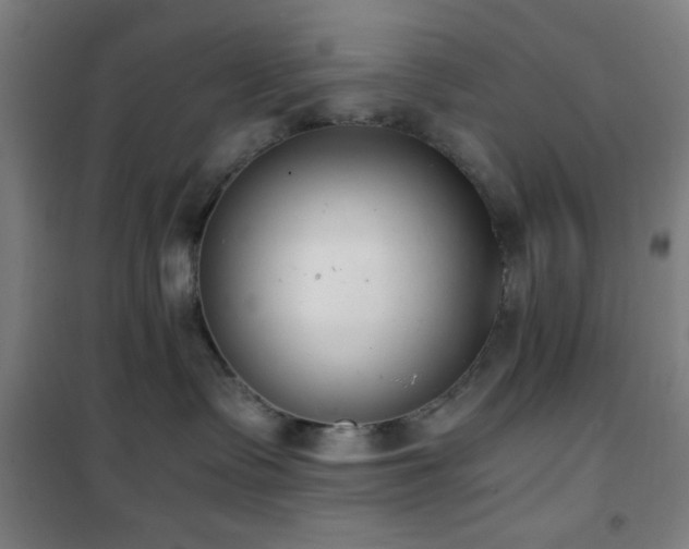 X0000101650335200807101237