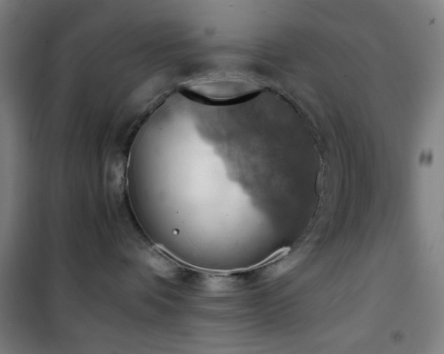 X0000101650336200807101237