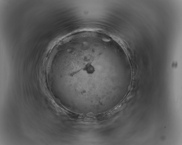 X0000101650337200807101236