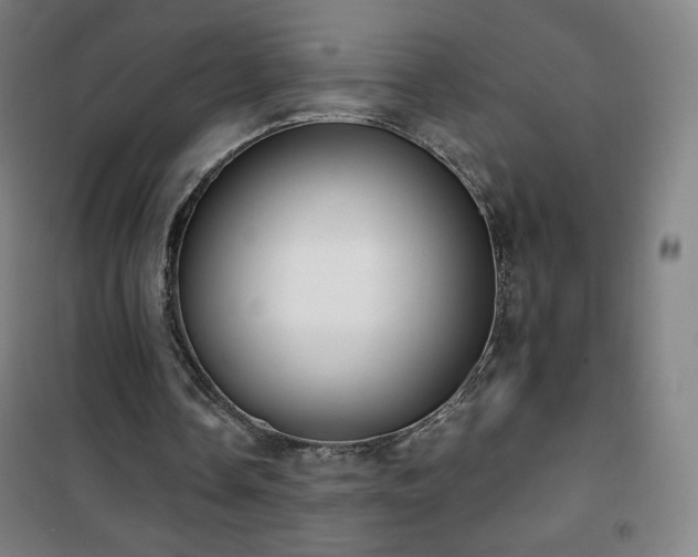 X0000101650338200807101236