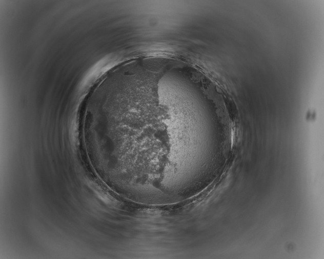 X0000101650339200807101236