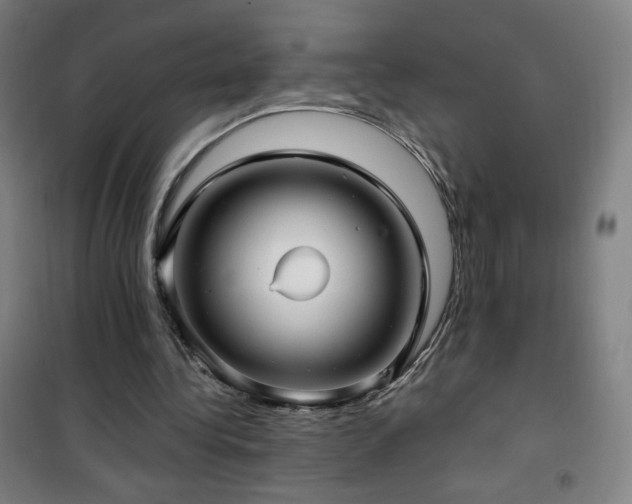 X0000101650340200807101236