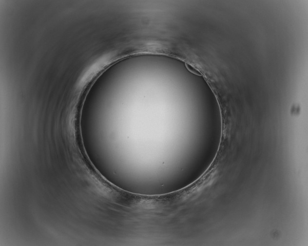 X0000101650341200807101236