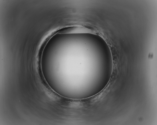 X0000101650342200807101236