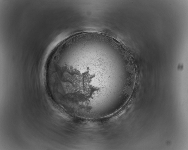 X0000101650343200807101236