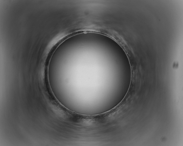 X0000101650344200807101236