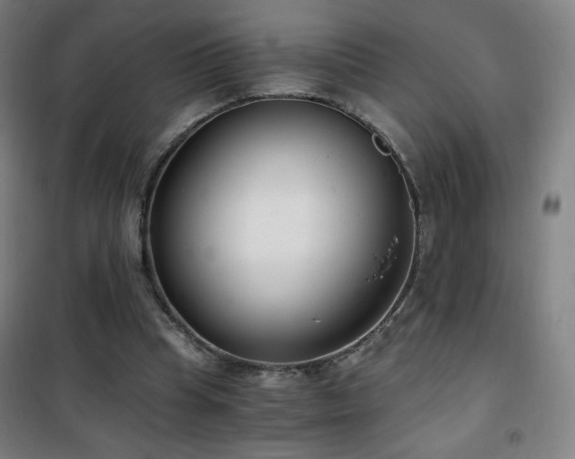 X0000101650345200807101236