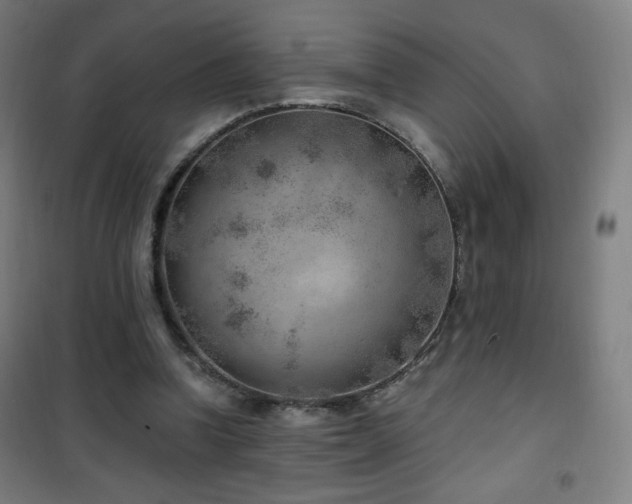 X0000101650346200807101236