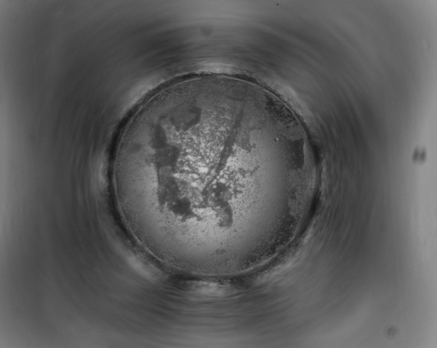 X0000101650347200807101236