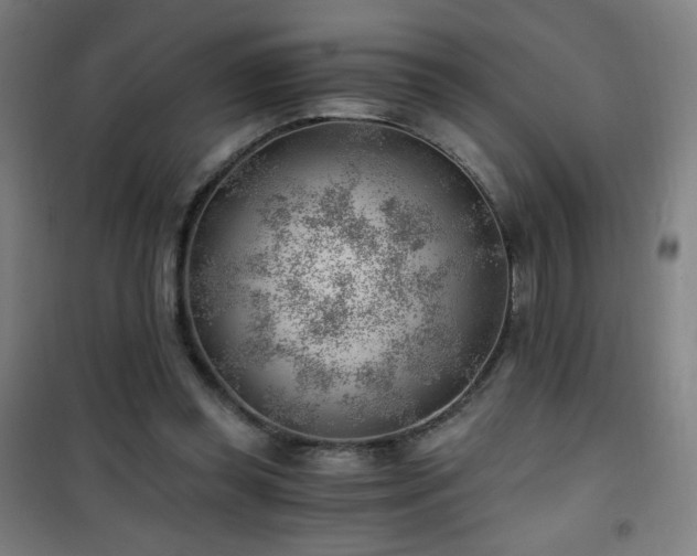 X0000101650349200807101236