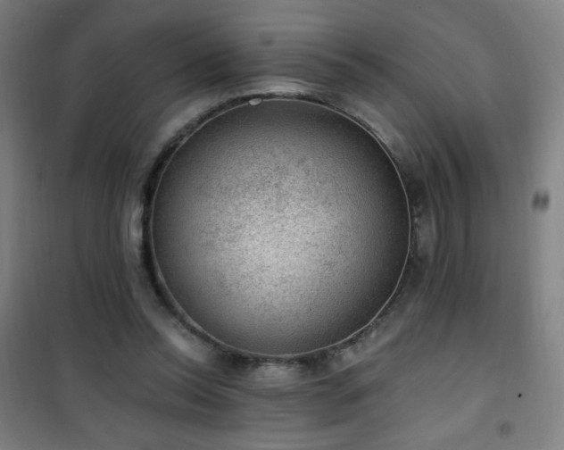 X0000101650350200807101236