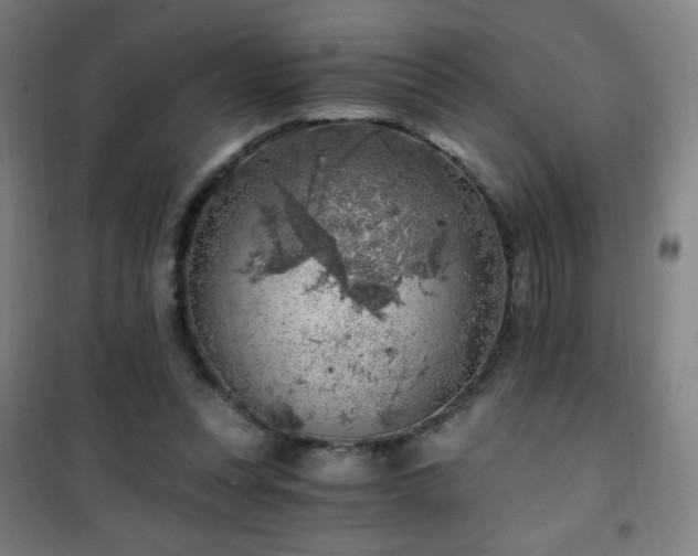 X0000101650351200807101236