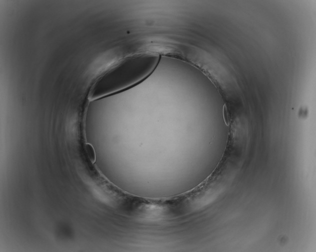 X0000101650352200807101236