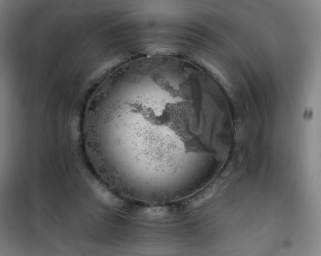 X0000101650353200807101237