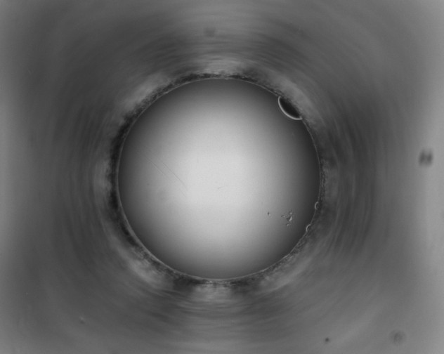 X0000101650354200807101237