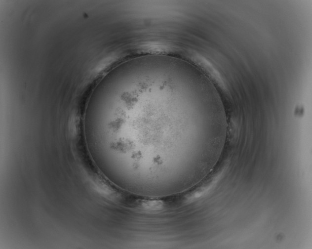 X0000101650355200807101237