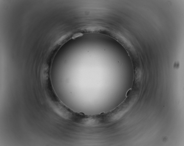 X0000101650356200807101237