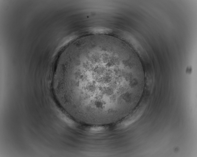 X0000101650357200807101237