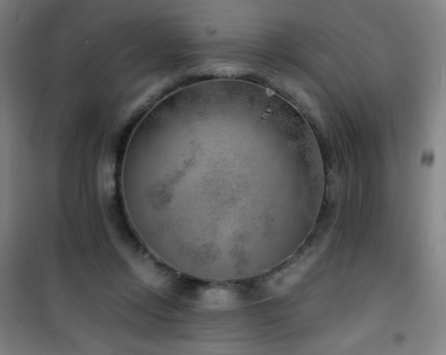 X0000101650358200807101237