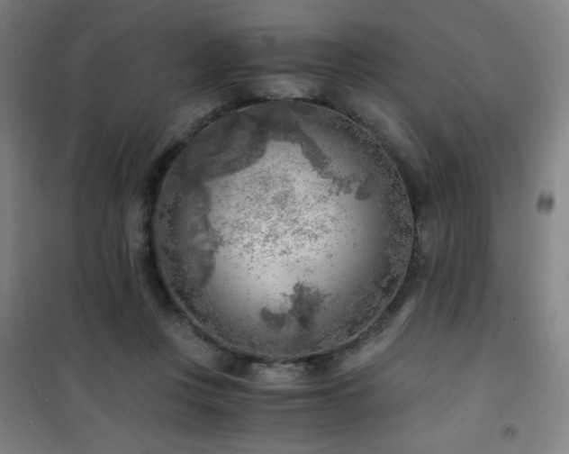 X0000101650359200807101237