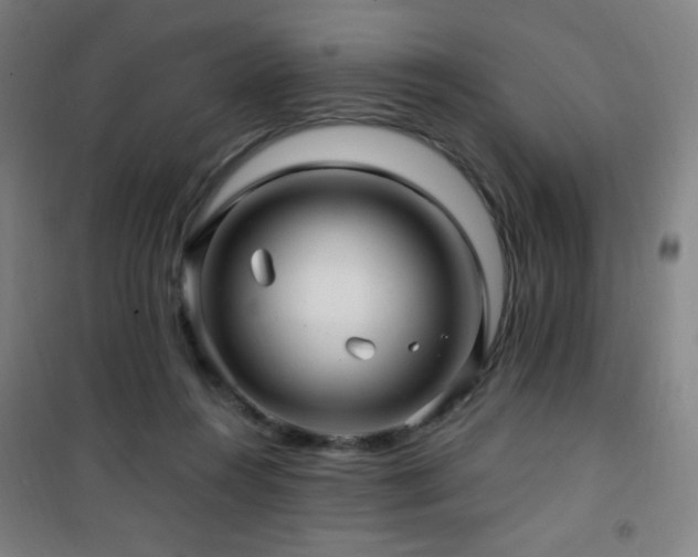 X0000101650360200807101237